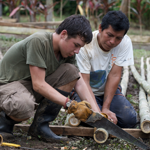 Andes & Amazon: Ecosystems & Conservation - Image 2
