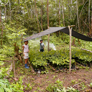 Andes & Amazon: Ecosystems & Conservation - Image 3