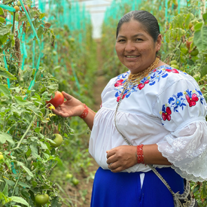 Ecuador: Sustainable Agriculture & Microbusiness - Image 2
