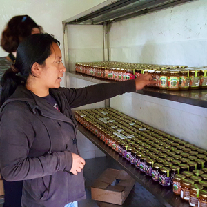 Ecuador: Sustainable Agriculture & Microbusiness - Image 4