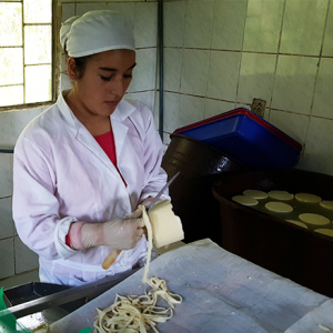 Ecuador: Sustainable Agriculture & Microbusiness - Image 3