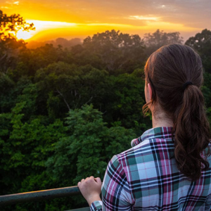 Amazon Ecology & Field Research - Image 2